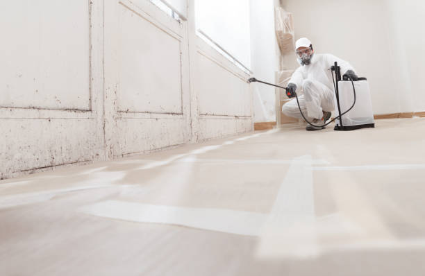 24/7 Emergency Commercial Mold Remediation experts in Wilson's Mills, NC