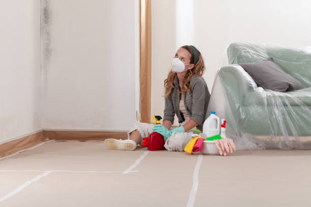 Reliable Commercial Mold Remediation contractor in Wilson's Mills, NC by WQB Mold Removal